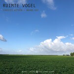 cover: Ruimte Vogel - Choices Within / Board Out