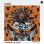 cover: Dr Feel - Vaudzeyi Vanamate