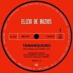 cover: Elizio De Buzios - Tamanqueiro