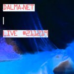 cover: Dalma.net - LIVE #211219