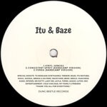 cover: Baze|Itu - Vinyl Junkies