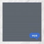 cover: Tyler Ritter - (wya)