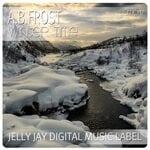 cover: A.b.frost - Winter Time (Original Mix)