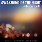 cover: Alexey M - Awakening Of The Night