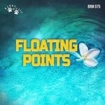 cover: Barry Hudson-taylor - Floating Points