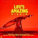 cover: Various - Life's Amazing Riddim (Explicit)