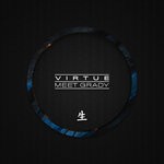 cover: Virtue - Meet Grady