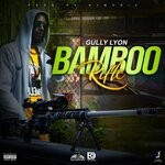 cover: Gully Lyon - Bamboo Rifle