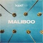 cover: Liquidfive - Maliboo