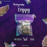 cover: Dadagraphy - Trippy (Explicit)