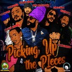 cover: Various - Picking Up The Pieces