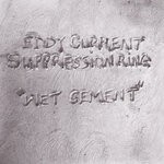 cover: Eddy Current Suppression Ring - Wet Cement