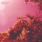 cover: Terrible Truths - Lift Weights B/w Don Juan