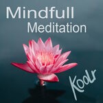 cover: Koolr - Mindfull Meditation