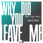 cover: Anektode|Dance House Project - Why Did You Leave Me