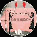 cover: Paul Was - Feel The Love