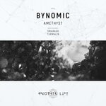 cover: Bynomic - Amethyst