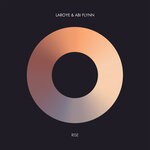 cover: Abi Flynn|Laroye - Rise