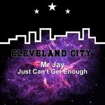 cover: Mr Jay - Just Can't Get Enough