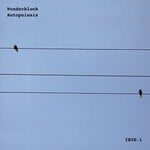 cover: Wunderblock - Autopoiesis