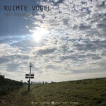 cover: Ruimte Vogel - Self Reflection