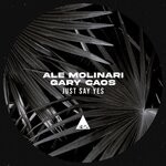 cover: Ale Molinari|Gary Caos - Just Say Yes (Original Mix)