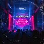 cover: Reydex - Naughty Pleasure