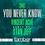 cover: Stan Zeff|Vincent Ache - You Never Know