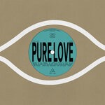 cover: Flock Of Dimes - Pure Love