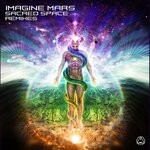 cover: Imagine Mars - Sacred Space (Remixes)