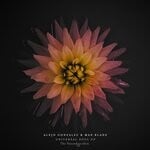 cover: Alejo Gonzalez & Max Blade - Universal Soul