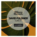 cover: David Fuldner - I Like It