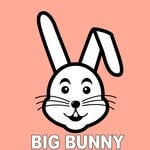 cover: Big Bunny - Binding