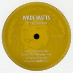 cover: Wade Watts - Inverted Radiation