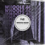 cover: Grdno|Noova - Whoole Again