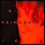 cover: Seismal D - Primordial