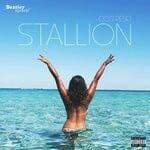 cover: Ocg Peso - Stallion (Explicit)