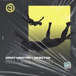 cover: Erdit Mertiri|Sebster - Falling Down