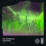 cover: Siul Gonzalez - Grooving