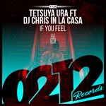 cover: Dj Chris In La Casa|Tetsuya Ura - If You Feel