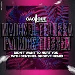 cover: Maickel Telussa|Patrick Tijssen - Didn't Want To Hurt You