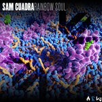 cover: Sam Cuadra - Rainbow Soul