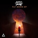 cover: Ale Power - Fly Down