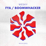 cover: Wesky - Fya / Boomwhacker