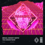 cover: Bekail|Moody Hertz - You Know Now (Original Mix)