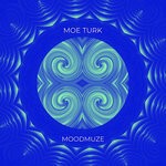 cover: Moe Turk - Moodmuze