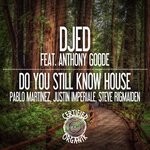 cover: Djed|Anthony Goode - Do You Still Know House