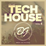 cover: Andrea Fluver|Ernest Kalinin|Various - Love That Tech House Vol 1