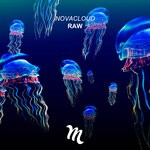 cover: Novacloud - Raw