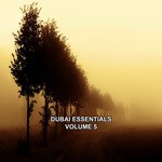 cover: Various - Dubai Essentials Vol 5